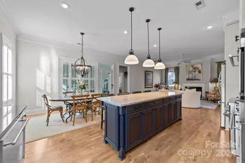 20130 Dowry Ct, Cornelius, NC 28031 photo 18
