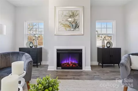 Living - 1038 Heath Helms Rd, Monroe, NC 28110 photo 5 of 5