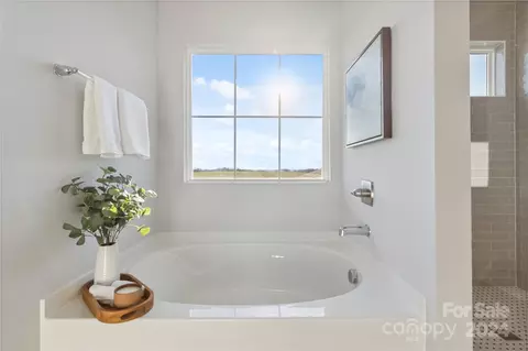 Bath - 1038 Heath Helms Rd, Monroe, NC 28110 photo 5 of 5