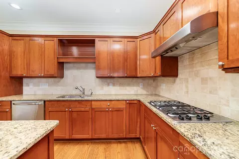 421 Ohenry Ave, Davidson, NC 28036 photo 22