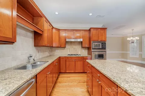 421 Ohenry Ave, Davidson, NC 28036 photo 19