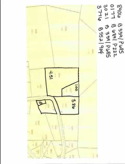 202 Rush Loop Rd, Mount Gilead, NC 27306 photo 3