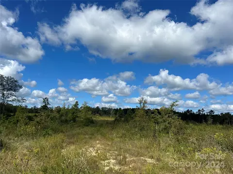 60 Ac Shannon Rd, Blackstock, SC 29014