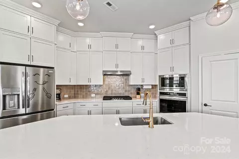 9038 Charles Francis Ln, Cornelius, NC 28031 photo 7