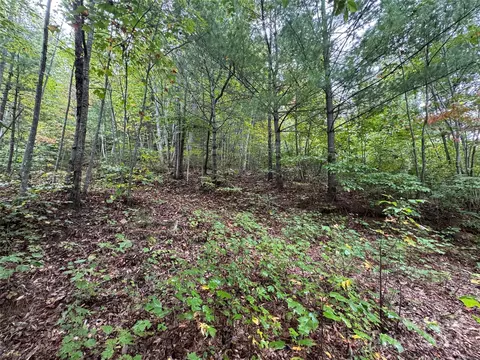 000 Reedy Branch Rd, Purlear, NC 28665 photo 13