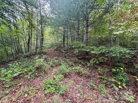 000 Reedy Branch Rd, Purlear, NC 28665 photo 11
