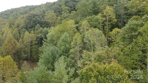 000 Reedy Branch Rd, Purlear, NC 28665 photo 16