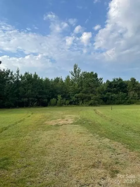 0 Healing Springs Rd, Timmonsville, SC 29161