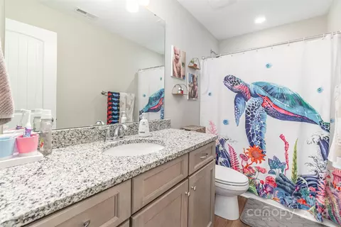 Bath - 2918 Plum Thicket Ct, Monroe, NC 28112 photo 2 of 2