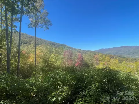 Tote 252 Road #252, Sylva, NC 28779 photo 2