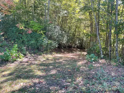 Tote 252 Road #252, Sylva, NC 28779 photo 5