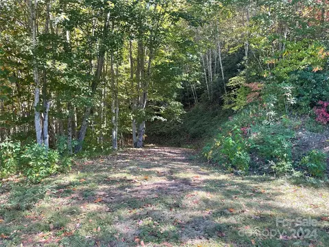 Tote 252 Road #252, Sylva, NC 28779 photo 4