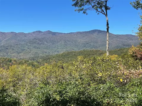 Tote 252 Road #252, Sylva, NC 28779 photo 3