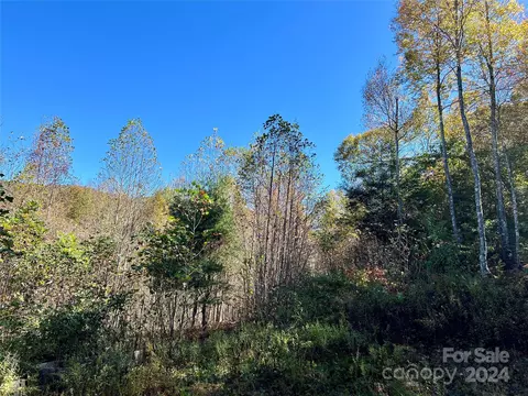 Valley Moretz Road, Deep Gap, NC 28618 photo 21