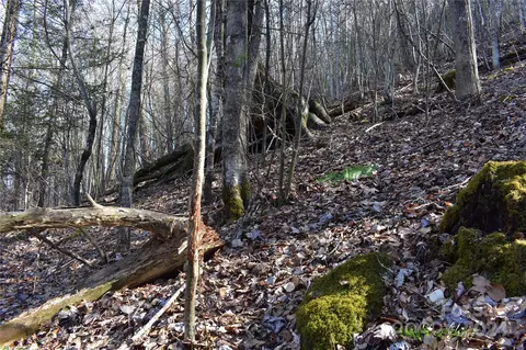 Valley Moretz Road, Deep Gap, NC 28618 photo 11