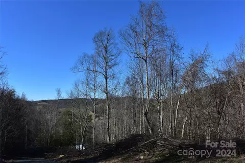 Valley Moretz Road, Deep Gap, NC 28618 photo 18
