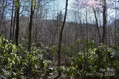 Valley Moretz Road, Deep Gap, NC 28618 photo 14