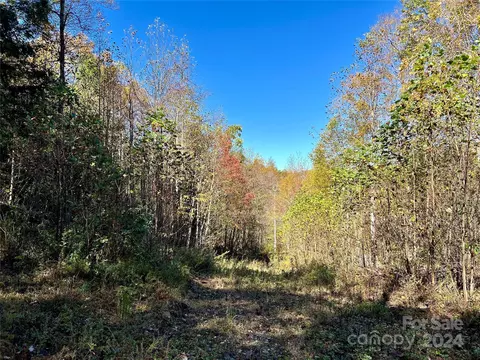 Valley Moretz Road, Deep Gap, NC 28618 photo 22