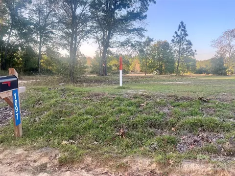 1097 Pine Rd, Jefferson, SC 29718 photo 2