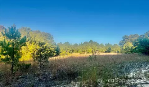 1097 Pine Rd, Jefferson, SC 29718