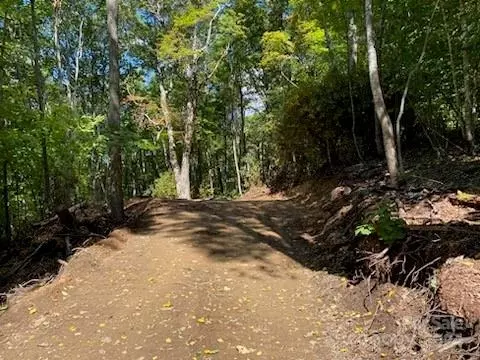Odalu G42 Trail #G42, Maggie Valley, NC 28751