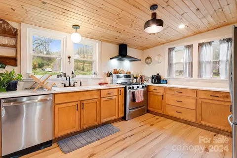 99 Cook Rd, Hot Springs, NC 28743