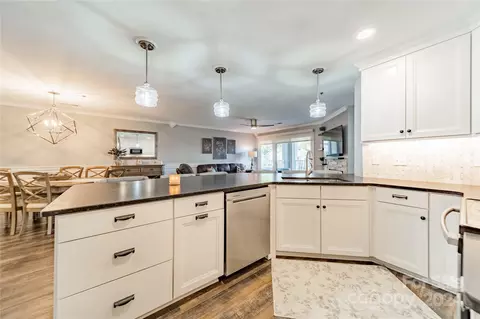 18569 Vineyard Point Ln, Cornelius, NC 28031 photo 22