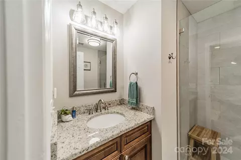 18569 Vineyard Point Ln, Cornelius, NC 28031 photo 13