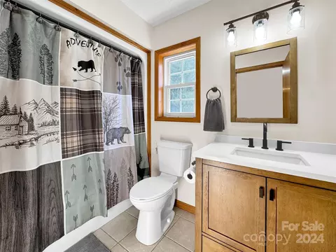 884 Mule Stomp Rd, Clyde, NC 28721 photo 17