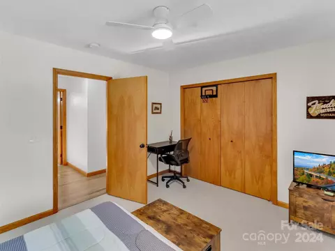 884 Mule Stomp Rd, Clyde, NC 28721 photo 16