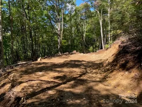 Odalu G43 Trail #G43, Maggie Valley, NC 28751