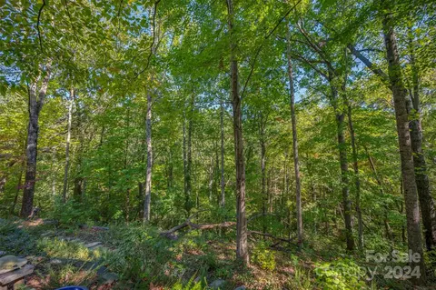 601 E Park Dr, Tryon, NC 28782 photo 48