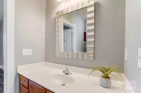 Bath - 169 Mills Ln, Fort Mill, SC 29708 photo 3 of 4