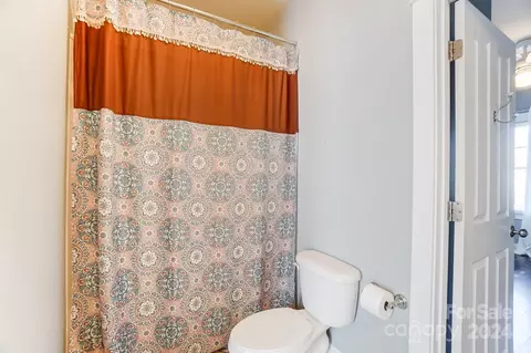Bath - 169 Mills Ln, Fort Mill, SC 29708 photo 4 of 4