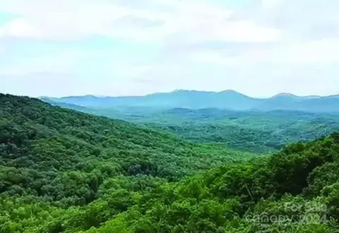 0 Hickory Nut 393 Apt 419 Ln #393, 419, Lake Lure, NC 28746