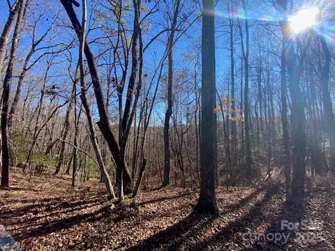 Connestee Trail, Brevard, NC 28712 photo 3