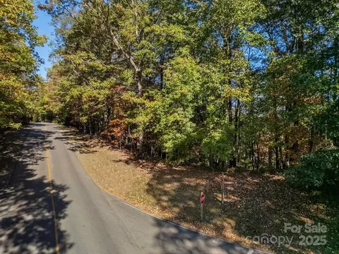 Connestee Trail, Brevard, NC 28712 photo 7
