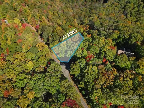 Connestee Trail, Brevard, NC 28712 photo 4