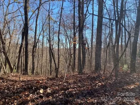 Connestee Trail, Brevard, NC 28712 photo 5