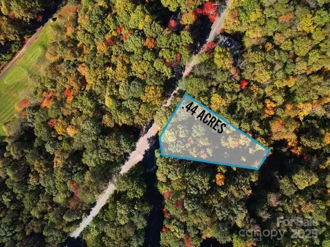 Connestee Trail, Brevard, NC 28712 photo 6