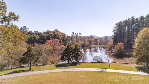 41 Bel Air Dr, Horse Shoe, NC 28742