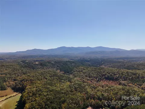 Regan Jackson Road, Mill Spring, NC 28756