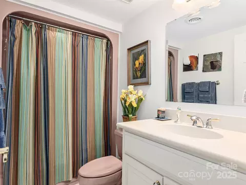 Bath - 121 Canoe Dr, Mill Spring, NC 28756 photo 5 of 5