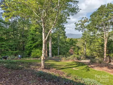 Exterior - 121 Canoe Dr, Mill Spring, NC 28756 photo 11 of 11