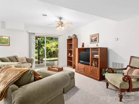 Living - 121 Canoe Dr, Mill Spring, NC 28756 photo 3 of 6