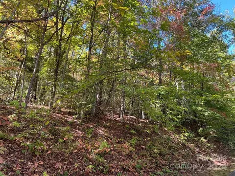 00 Tract Bc Us Highway 441 S, Sylva, NC 28779