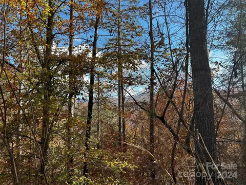 Paint Fork Road, Mars Hill, NC 28754 photo 22