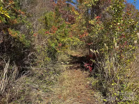 Paint Fork Road, Mars Hill, NC 28754 photo 17