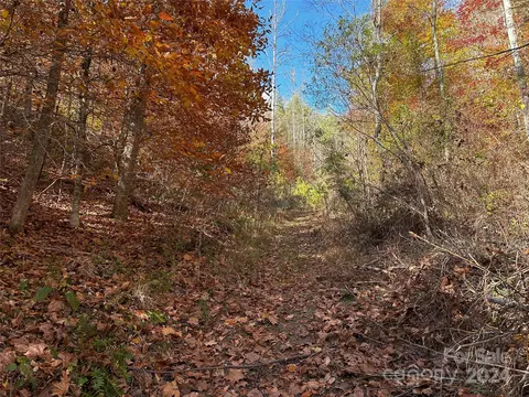 Paint Fork Road, Mars Hill, NC 28754 photo 19