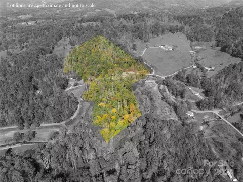 Paint Fork Road, Mars Hill, NC 28754 photo 26